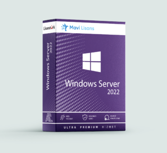 Mavi-Lisans-Win-Server-2022